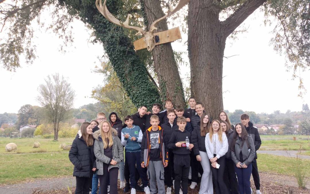 Terenska nastava učenika predmetne nastave PŠ Gornji Hrašćan