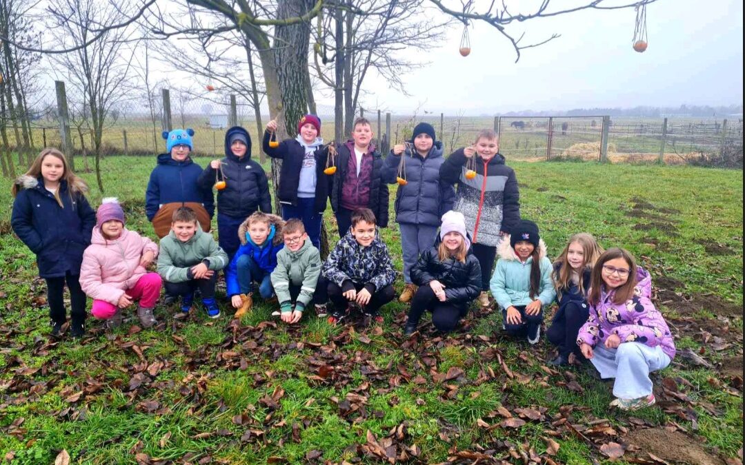 Hranilice montirane, palačinke servirane 