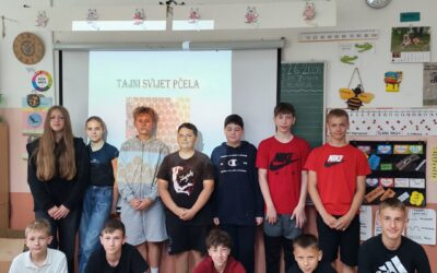Čudesni svijet pčela